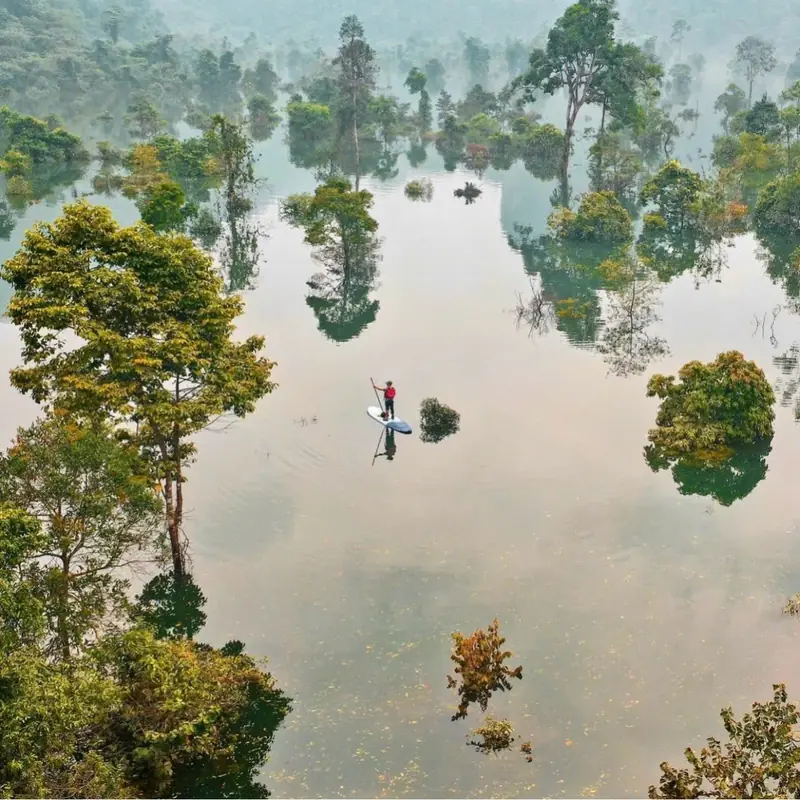 Chèo SUP giữa rừng ngập nước