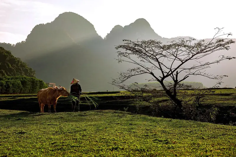 Làng Tân Hóa buổi sáng sớm